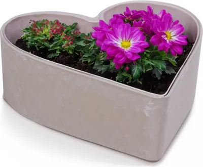 Produktbild von Herz Pflanzschale für draussen Dekoschale sand beige 22 cm