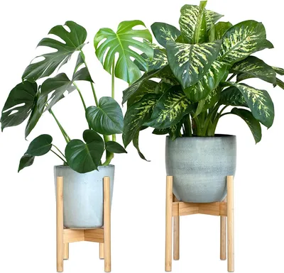 Produktbild von GADGY® Blumenständer Holz - 2er Set Bambus Pflanzenständer Holz - Verstellbare Blumentopf Ständer Holz für Töpfe bis Ø 30,5 cm - Pflanzenständer, H: 35,5 cm - Plant Stand mit Beinen