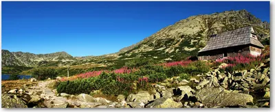 Produktbild von Tulup® Glas-Bild Wandbild aus Glas - 125x50 - Wandkunst - Wandbild hinter gehärtetem Sicherheitsglas - Dekorative Wand für Küche & Wohnzimmer - Landschaften - Almhütte Tal - Braun
