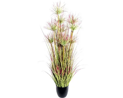 Produktbild von Kunstpflanze Cyperngras Höhe: 125 cm rot
