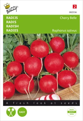 Produktbild von Radies Cherry Belle | Radieschensamen von Buzzy Seeds