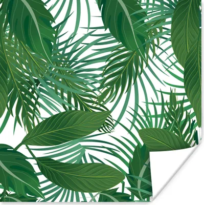 Produktbild von MuchoWow® Poster Blätter - Muster - Tropisch 50x50 cm - Wohnzimmerdekoration
