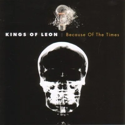 Obrázek produktu pro Kings Of Leon: Because Of The Times - RCA - (CD / Titel: A-G)