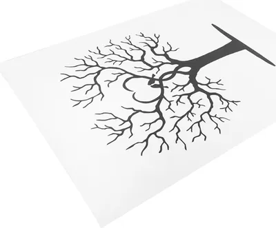 Image de Fingerprint Tree DIY Guest Signature Sign‑