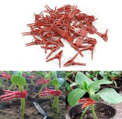 Productafbeelding van Plantclips - 100 stuks - Plantclips - Plantenklemmen - Om planten te ondersteunen - Plantenclips - Plantensteun