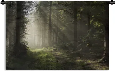 Produktbild von MuchoWow® Wandteppich Wandbehang Wald - Baum - Nebel 150x100 cm Tapisserie Dekoration Wandtuch - Waschbar - Tapisserien - Wand-Decke