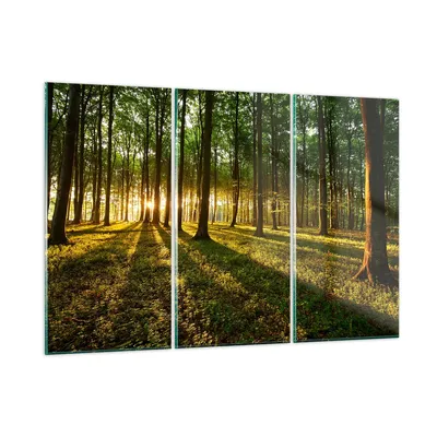 Produktbild von Bilder auf glas - Wald grün Sonnenstrahlen Natur - 105x70cm - Glasbilder - Wandbilder - Kunstdruck - zum Aufhängen bereit - Wanddekoration aus Glas - Glas Bilder - Wandbild auf Glas - GCE105x70-2510