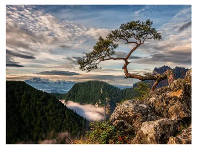 Zdjęcie produktu dla STYLER Obraz na płótnie 85x113 cm Sokolica górski pejzaż Tatry krajobraz natury nowoczesna dekoracja ścienna do salonu sypialni biura Canvas