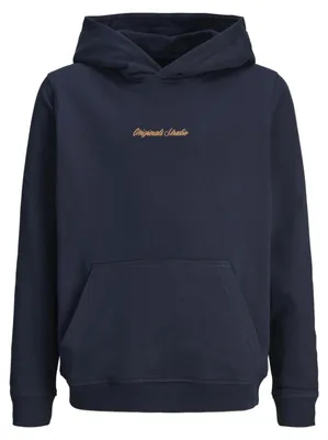 Productafbeelding van JACK & JONES Jornorrebro Trainingshoodie voor jongens