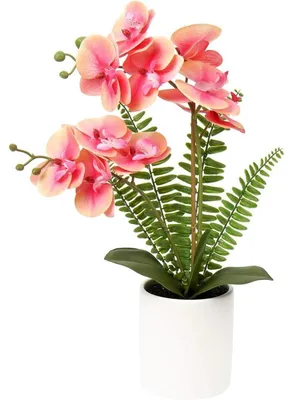 Productafbeelding van Kunstbloem orchidee Phalaenopsis in keramische pot, 40,5 cm, wit, roze, paars