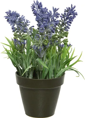 Produktbild von Kunstblumen Lavendel im Topf 17cm, 1 Stück