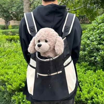 Produktbild von INF Faltbarer Haustierrucksack: Kleine Hunde und Katzen Träger, Brustrucksack Schwarz