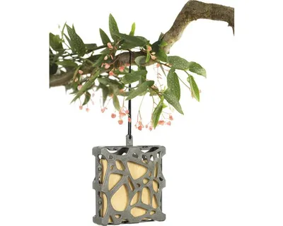 Produktbild von Vogelfutterhalter Anna 12 x 3,5 x 12 cm grau