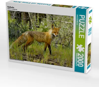 Produktbild von CALVENDO Puzzle Rotfuchs 2000 Teile Puzzle quer | 2000 Teile Lege-Größe 90x67cm Foto-Puzzle für glückliche Stunden