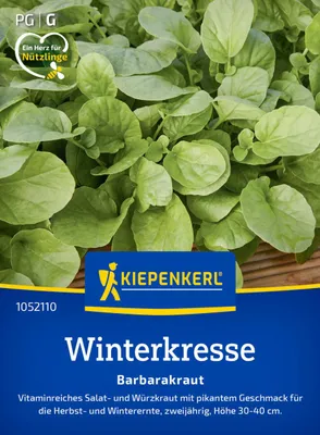 Produktbild von Kiepenkerl Saatgut Winterkresse Barbarakraut für ca. 500 Pflanzen