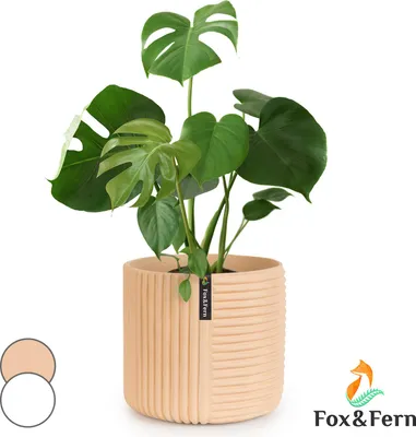 Image de Fox & Fern Pot de Fleur Interieur, Pot pour Plantes en Polystone, Cache Pot Plante Interieur et Extérieur Résistant UV et Gel, Pot Fleur Exterieur Grande Taille, Jardinieres Exterieur Bouchon Drainage