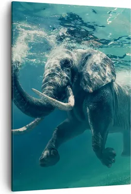 Produktbild von Bild auf Leinwand - Leinwandbild - Einteilig - Elefant Tier Wasser - 50x70cm - Wand Bild - Wanddeko - Wandbilder - Leinwanddruck - Wanddekoration - Leinwand bilder - Wandbild - PA50x70-3944