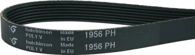 A close-up of a black V-ribbed belt with text printed on it.