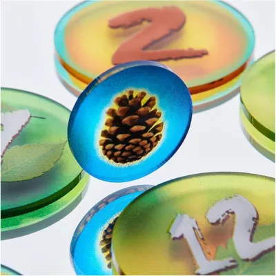 Image de Lot de pions en acrylique pour le jeu de société Photosynthèse | 57 pions