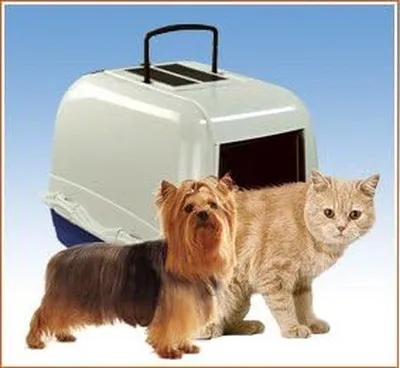 Produktbild von Famanu Katzenklo für Erwachsene Katzen und Kätzchen - Groß