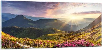 Produktbild von Bilder auf glas - Gebirge Wiese Landschaft Wald - 120x50cm - Glasbilder - Wandbilder - Kunstdruck - zum Aufhängen bereit - Wanddekoration aus Glas - Glas Bilder - Wandbild auf Glas - GAB120x50-3152