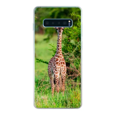 Produktbild von MuchoWow® Handyhülle Schutzhülle Hülle für Samsung Galaxy S10 Lite Baby - Giraffe - Pflanzen Silikon Softcase Handy Hülle - Schutz