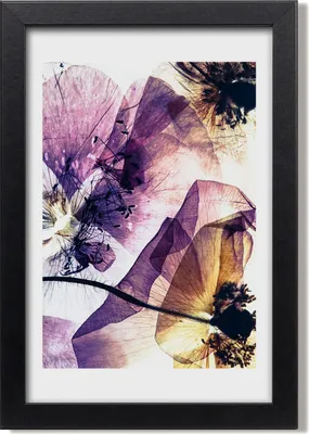 Produktbild von Bild 20x30 MDF-Rahmen, Wandkunst Maki