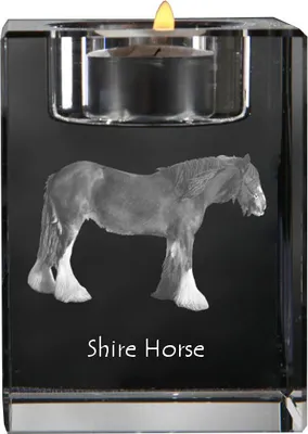 Immagine prodotto di Art-Dog Portacandela tealight – Cavallo Shire