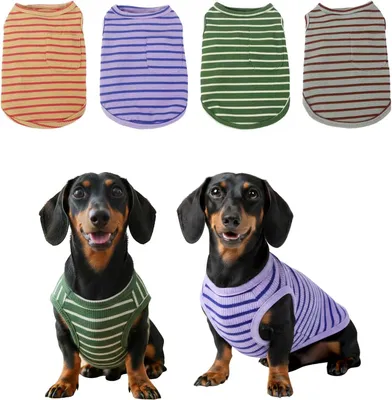 Produktbild von Gestreiftes Hundeshirt Atmungsaktiv für Kleine Hunde M