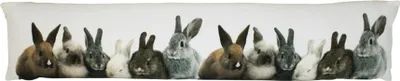 Image de Mars&More kanevas anti-courant d'air lapin 20x90cm GKTKKN