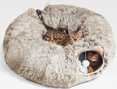 Produktbild von Katzentunnel, Großer Katzentunnel mit Zwei Eingängen Katzenhöhle, Geeignet für Katze, Katzenspielzeug für Indoor-Katzen, Weiches Katzenbett
