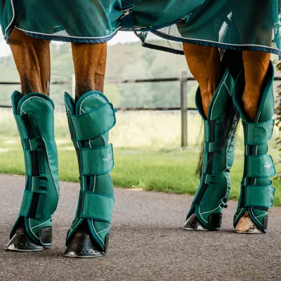 Immagine prodotto di Set di 4 stivali da trasporto Horseware Signature