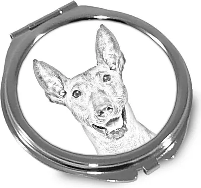 Image de Art-Dog Miroir de poche – Xoloitzcuintle