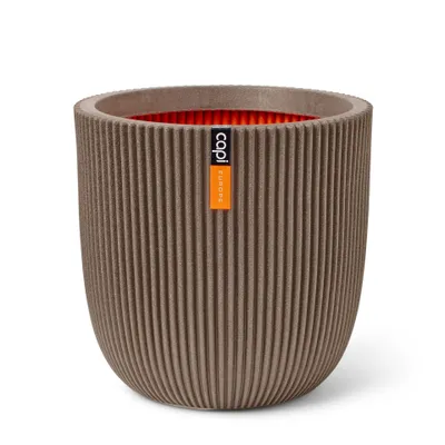 A single planter pot shown against a white background.