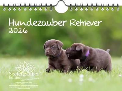 Produktbild von Hundezauber Retriever DIN A5 Kalender für 2026 Welpen und Hunde - Seelenzauber
