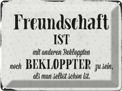 Produktbild von vianmo Blechschild 30x40 cm Freundschaft ist mit anderen Spruch Zitat
