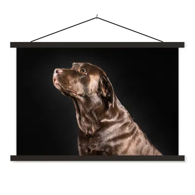Produktbild von MuchoWow® Textilposter Hund - Braun - Porträt 120x80 cm mit schwarzem Rahmen - Wanddeko