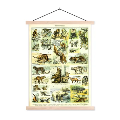 Produktbild von MuchoWow® Textilposter Tiere - Affe - Bär 60x80 cm mit holzfarbenen Rahmen - Wandbild