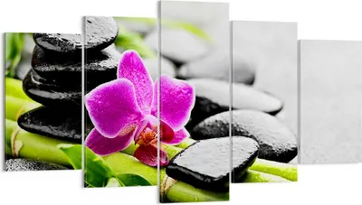 Produktbild von Bild auf Leinwand - Leinwandbild - Pflanze Steine Bambus Spa - 160x85cm - Wand Bild - Wanddeko - Leinwanddruck - Bilder - Kunstdruck - Wanddekoration - Leinwand bilder - Wandkunst - EA160x85-2681