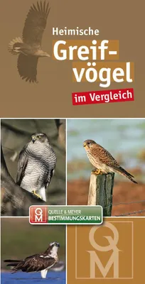 Produktbild von Bestimungskarten Heimische Greifvögel