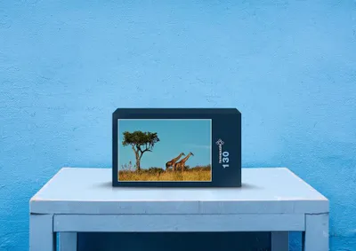 Produktbild von hansepuzzle 83809 - Giraffen Puzzle, 130 Teile, Tierwelt, 28,7 x 20,0cm mit hochwertiger Aufbewahrung, Kartonbox und wiederverschließbarem Beutel