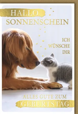 Produktbild von Geburtstag - Glückwunschkarte im Format 11,5 x 17 cm mit Umschlag - "H