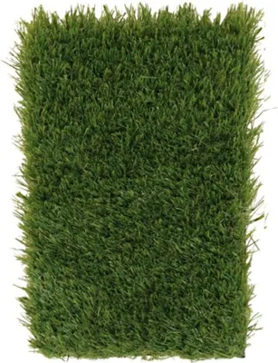Image de Tapis en gazon Rosalia 150 x 200 cm – pour l'extérieur et l'intérieur