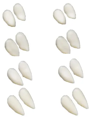 Productafbeelding van Set van 8 Valse Vampiertanden voor Cosplay en Halloween