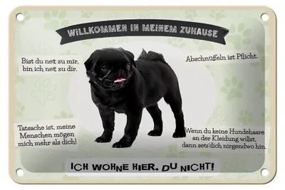 Produktbild von Blechschild Spruch 18x12cm Tiere Mops willkommen Zuhause Dekoration
