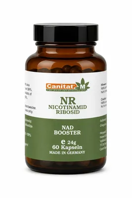 Produktbild von NAD+ | NR Kapseln | 250mg hochdosiert | Nicotinamid-Ribosid | 60 Kapseln, KI-generiertes Bild