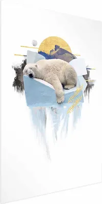 Produktbild von Posterpapier Poster - Polar Bear 40x60 cm Tiere g-C-0132-ao-a