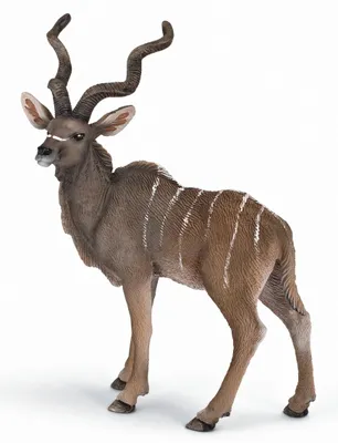 Image de Afrique Koudou Antilope Schleich 14645
