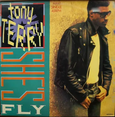 Obrázek produktu pro 12'': Tony Terry-She's Fly