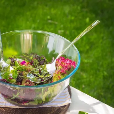 Image de Couverts à salade en inox Living